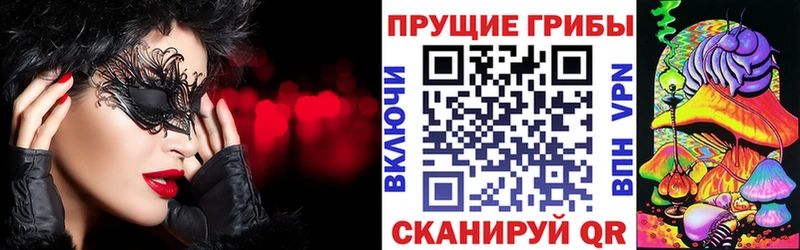Галлюциногенные грибы Psilocybe  Тетюши 